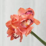 Kunstlik orhidee Kunstlik Phalaenopsis lilled Elutruu orhidee keskosa lilleline Real Touch Pulma kodukaunistus