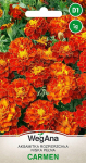 Tagetes Rozpierzchła madal Carmen 1g saialilleseemneid - WegAna