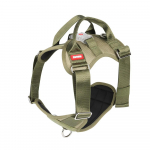 Uued lemmikloomade jalutusrihmade LED-valgusrihmad plahvatuskindlad koerarihmad lemmikloomatarbed S must