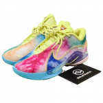 Nike Lebron 22 XXII EP What The Monopoly HV8621-300 Meeste EU 41