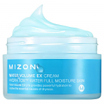 Mizon Water Volume EX kreem 230ml/102ml 232ml