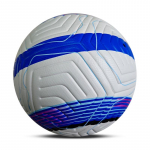 Ziwugan 24-25 Premier League'i stiilis treeningjalgpall