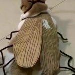 Kass Cosplay Riietumiskost&uuml;&uuml;m Kakakost&uuml;&uuml;m Lemmiklooma Hingav R&otilde;ivastus Naljakas Peokleit &Uuml;htne Lemmikloomatarbed OneSize