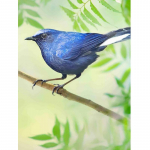 5D DIY Tikand Teemant Kodukaunistus Linnulillemaal T&auml;ispuurristpiste 20X30CM