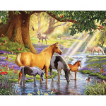 5D DIY Teemantmaaling Hobuste Tikand Ristpistes Rhinestone Mosaiic Kodukaunistus 20X30CM