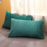 Kahepoolne sametist padjap&uuml;&uuml;r Kaheosaline kristallist sametist padjap&uuml;&uuml;r &Uuml;he kaheinimesevoodiga padjap&uuml;&uuml;r Pehme soe padjap&uuml;&uuml;r