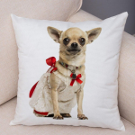 Armas lemmikloomade padjap&uuml;&uuml;r Dekoratiivne armas kutsika chihuahua padjap&uuml;&uuml;r Pehme pl&uuml;&uuml;sist padjap&uuml;&uuml;r autodiivanile koju 45x45cm 40x40cm