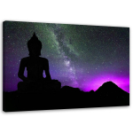 Feeby l&otilde;uenditr&uuml;kk, Buddha ja aurora borealis 60x40 lilla