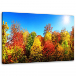 L&otilde;uendiprint V&auml;rviline metsas&uuml;gismaastik 60x40 mitmev&auml;rviline