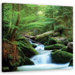 L&otilde;uenditr&uuml;kk Forest Mountains Stream Nature 30x30 roheline