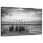 L&otilde;uenditr&uuml;kk Grass on beach hall 60x40 must/valge