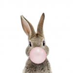 J505# armas v&auml;ikese j&auml;nese kassi kleebis auto vin&uuml;&uuml;lkleebise veekindlal kaunistusauto kleebistel A-13cm-Longest Side