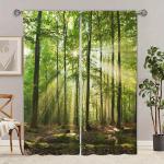 2 paneeli, kaunis metsamaastik, looduslik kardin, juga, maastik elutoa kardin, sobib elutoa magamistoa sisekujunduseks W100X240H(cm)x2Pcs&Hook