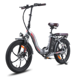 Fafrees F20 Pro Folding Electric Bicycle 250W 36V 18Ah Lithium Battery 20 inch MTB Mountain Bike Outdoor Fat Ebike for Adult hall