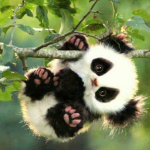 Tikandid K&auml;sit&ouml;&ouml; 5D Teemanttikandid Ristpistekomplektid Seenemaja kingitus Teemantseinakunst 30x30CM