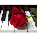 T&auml;ielik 5D Teemantmaali Roos klaveril Teemanttikandid Ristpistes Kodukaunistus K&auml;sitsi valmistatud kingitus 25x30cm