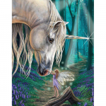 5D-teemantmaal Cartoon Teemanttikandid T&auml;ispuuritud &uuml;mmargused j&otilde;ulukaunistused koju 20X30CM