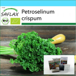 SAFLAX - kinkekomplekt - Orgaaniline - Sambla-k&auml;harpetersell - 800 seemet - Koos kinkekarbi, kaardi, etiketi ja potisubstraadiga - Petroselinum crispum
