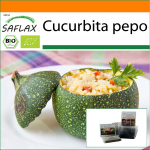 SAFLAX - Aed kotis - Mahe - Kabat&scaron;okk - Tondo di Nizza - 5 seemet - Substraadiga sobivas p&uuml;stises kotis - Cucurbita pepo