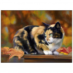 3D-teemanttikandid ristpistega &uuml;mmargune kivimaaling loom kass Full Round 20x25CM