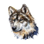 Tri mishki W1133 hall hunt maaliv autokleebis PVC kleebised mootorratta tarvikute kleebis auto s&uuml;learvuti k&uuml;lmiku ukse seina aknal 12cm -S