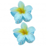 2 tk lillelised juukseklambrid tugeva k&uuml;&uuml;nisega gradientkontrastv&auml;rviga Plumeria libisemisvastane juuste fikseerimine kaunistus, sile pind naiste juuste aksessuaar