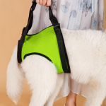 Tugikoera t&otilde;sterakmete komplekt k&auml;epidemega haigetele vanadele S roheline