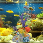 Kunstlik korallikuju skulptuur Akvaariumi maastiku mitmev&auml;rviline kaunistus Size S