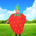 funny children Boys Girls Strawberry Birthday Party Halloween Costume Fancy Dress