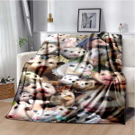 Opossum Karjumine Armas Muster Tekk Flanellist Pl&uuml;&uuml;sist Tekk Opossum Loom Pehme Visketekk Magamistuba Diivan Soe Tekk Piknikutekk Kingitus 30x40in