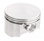 Tłok Cedrus Nkpl. Wertykulator Wr01 15100-E030020-000I0