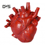 S&uuml;dame lillevaas Inimese s&uuml;dameorgani kujuga vaigust vaas lauaplaadi sisekujundusega lillehoidja kodukontori t&ouml;&ouml;lauale elutuppa punane