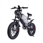 RZOGUWEX X5S All-Terrain Electric Bike 1000W Motor 25AH Battery Electric Bicycle 20 Inch Off-Road Tires Adult E-Mountain bike hall