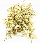 Aakatsa lille&otilde;ied Kogu aakatsa 500G 100% Looduslik Pood