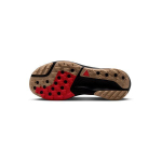 Nike ACG Pegasus Trail Mugav istuvus Maastikujooksukingad Meeste Jooksukingad Pruun Must HV8116-203 42.5 brown