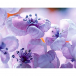 5D DIY Teemanttikandid Taim Lilled Seinakleebis Full Round Drill 20X30CM