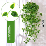 Kreemjas kunstlik luuderohi begoonialehed rohelised tillirotangist green dill leaves