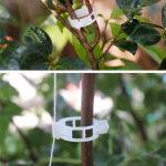 10/20/30/40/50/100 tk Plastikust aiataimed Lilled Seotud kimp oks Klamber Kinnitust&ouml;&ouml;riistad Rotangist viinapuude ja k&ouml;&ouml;giviljade kinnitus&uuml;ksus 10Pcs