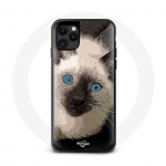 Siiami kassi iPhone 12 &uuml;mbris