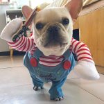 Naljakas Halloweeni koerakost&uuml;&uuml;m v&auml;ikestele keskmistele koertele kassidele Reguleeritav kutsika cosplay pidu prantsuse buldogi chihuahua lemmikloomade riided XS