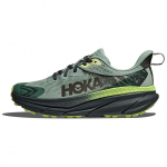 HOKA Challenger ATR 7 GORE-TEX Aloe Vera Meeste Tennised Roheline Salat 1134501-ALVR 41