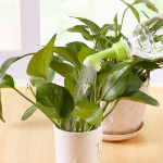 Plastikust vihmuti kastmisotsik k&auml;eshoitav lillede kastmisvimut Kaasaskantav