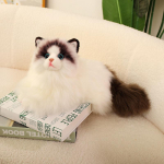 Simuleeritud Ragdoll Kassi Nukk Magamispadi Nukk Nukk Kassipoeg Pl&uuml;&uuml;sist M&auml;nguasi Laste S&uuml;nnip&auml;evakingitus T&uuml;druk 50cm【0.31kg】 beige