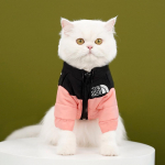 Lemmiklooma koera kassi riided s&uuml;gis ja talv soe puuvillane mantel pusa teddy suur, keskmine ja v&auml;ike koeratarbed S (bust 40CM is recommended for 3-2.5kg pets)