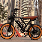 2025 E-jalgratas S8 2000W kahe mootoriga 48V 25AH 20-tollised paksud rehvid, esi- ja tagavedrustus, t&auml;iskasvanute elektriline jalgratas pedaalidega. 1000W-48V-17.5AH pruun