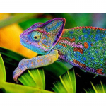 Teemanttikandid kameeleon T&auml;is&uuml;mmargune teemantmaaling Loom Teemantmosaiigist kividest pilt 20X30CM