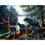 5D DIY teemantmaal  Karupere Moonligti j&auml;rves  Teemantikandiga ristpistes 20X30CM