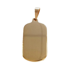 Les Tr&eacute;sors De Lily [R8068] - kuldne  American Plate  terasest ripats - 40x25 mm kuld