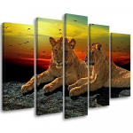 Viieosalise pildiga l&otilde;uendiprint Lion Savanna Africa Nature 100x70 mitmev&auml;rviline