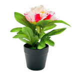 Kunstlik pojengilill Kodukontor Elutoalaud Pulmade kunstlilletaimed Bonsai siseruumides ja v&auml;litingimustes t&ouml;&ouml;lauakaunistus